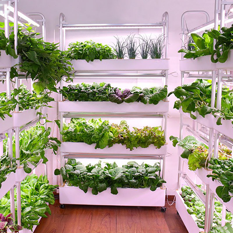 Smart Garden Vertical Planter - Система выращивания гидропоники Вертикальная умная система