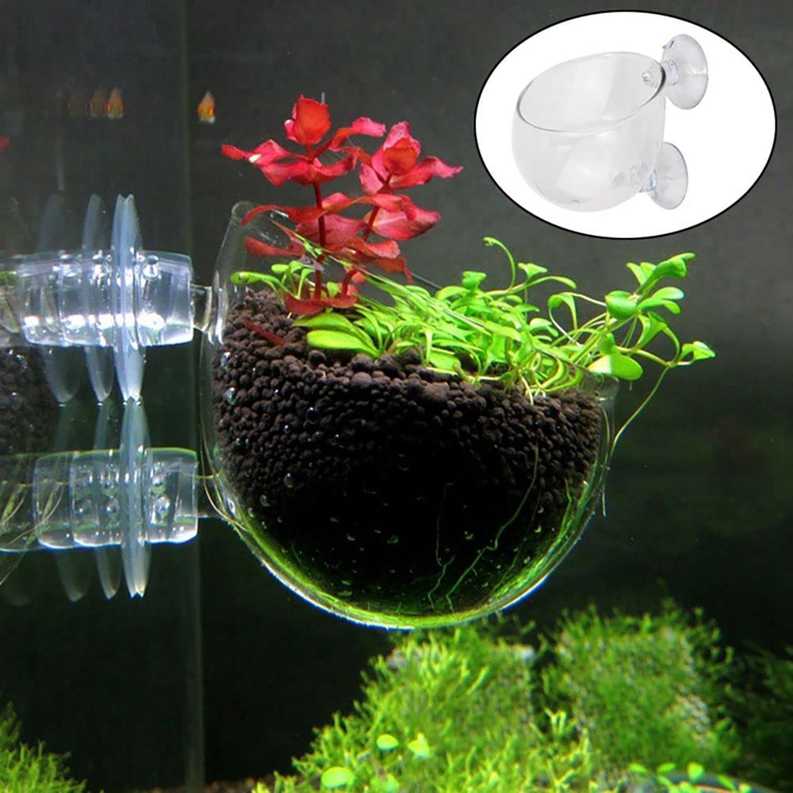 Hydroponic Grow Pod - Горшок для водных растений, прозрачный акриловый