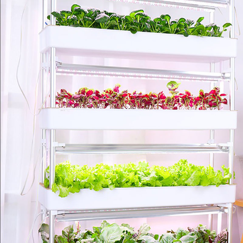 Система выращивания гидропоник – обзор и цена Smart Garden Vertical Planter