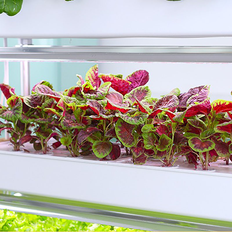 Система выращивания гидропоник – обзор и цена Smart Garden Vertical Planter