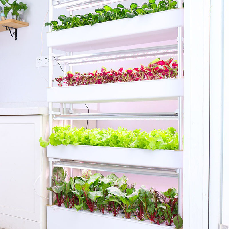 Система выращивания гидропоник – обзор и цена Smart Garden Vertical Planter