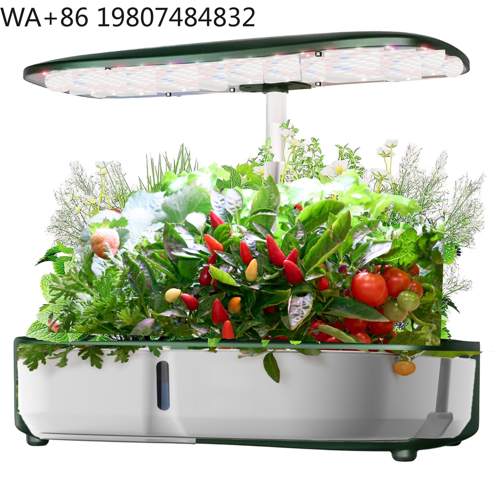 8-секционный мини-гидропонный  – обзор и цена Hydroponic Grow Pod