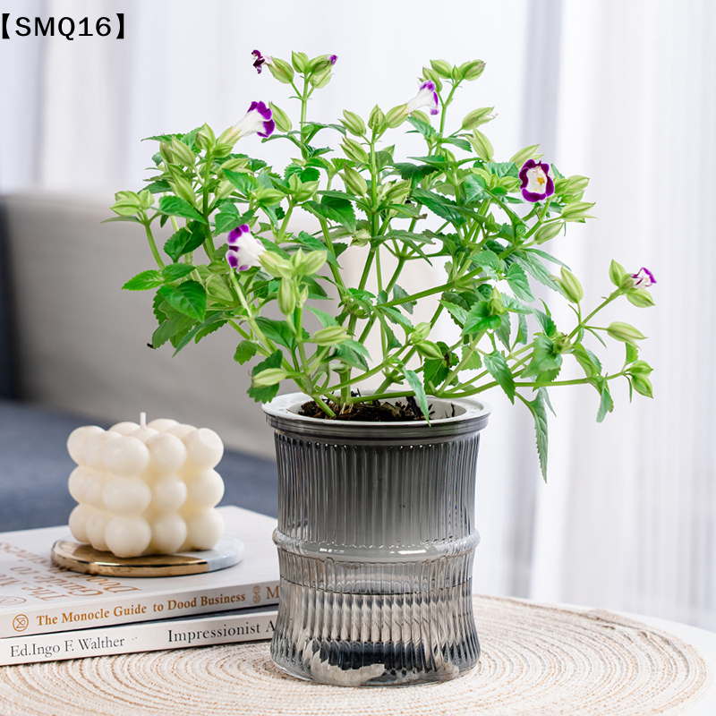 Гидропонный цветочный горшок L – обзор и цена Hydroponic Grow Pod