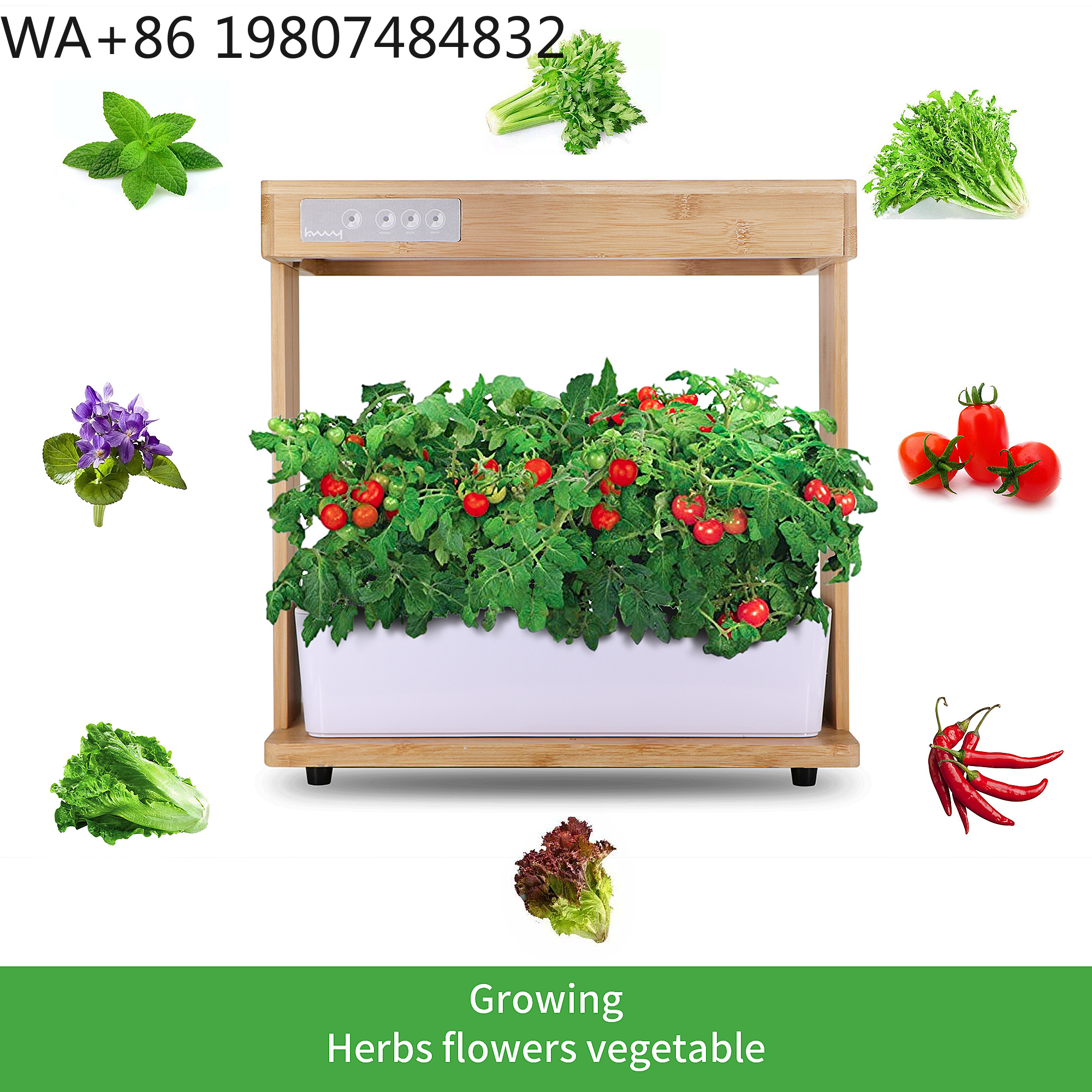 Набор для гидропоники на 8 рас – обзор и цена Hydroponic Grow Pod