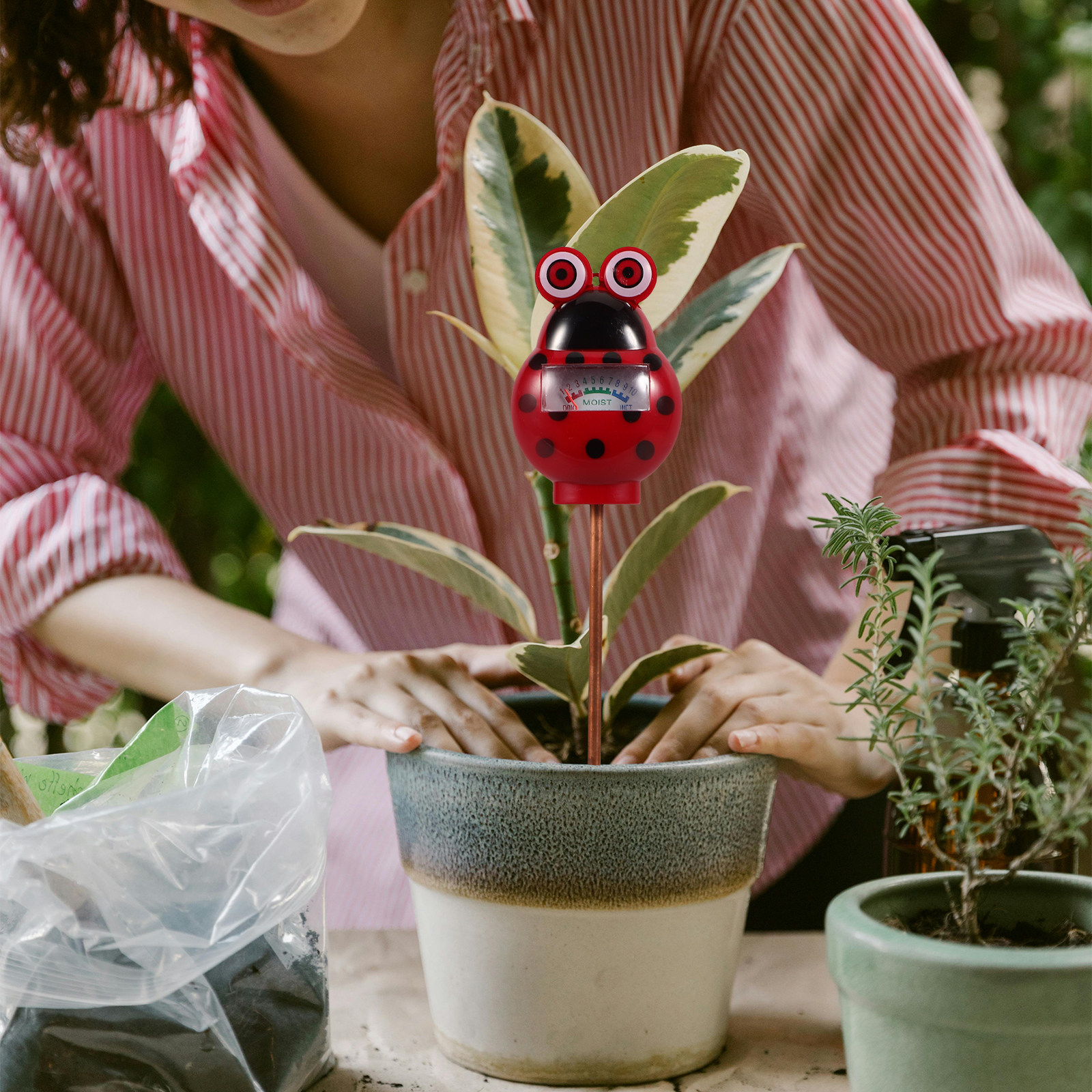 Измеритель влажности почвы: ко – обзор и цена Smart Garden