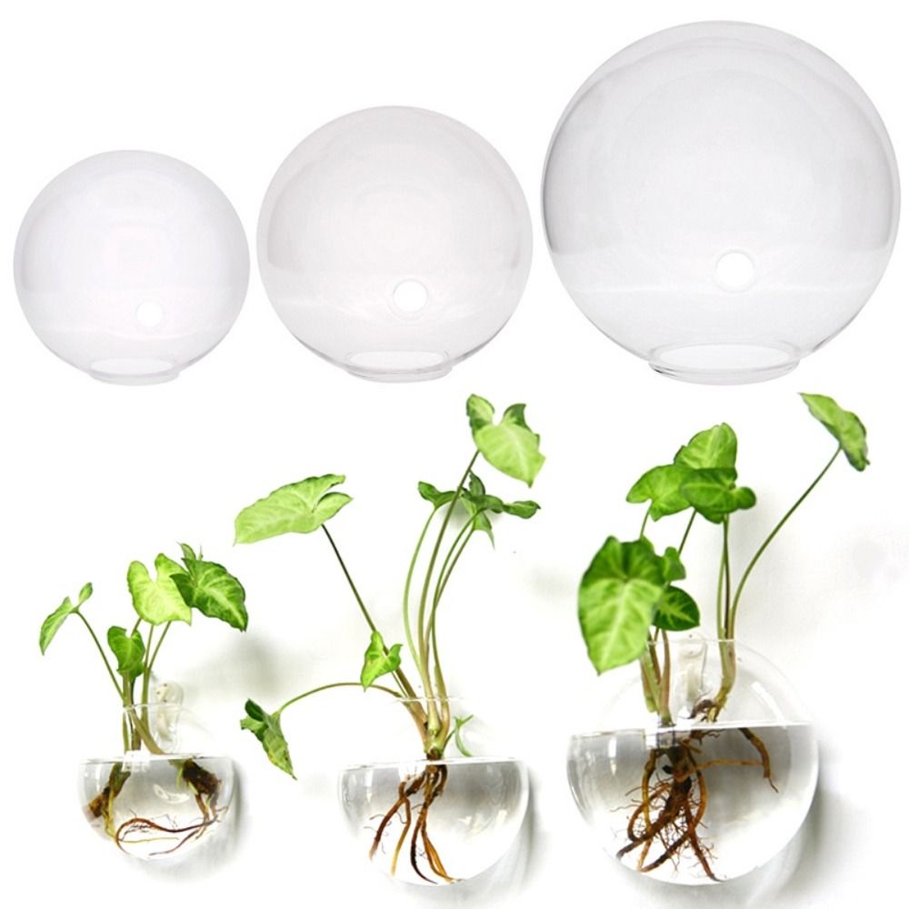Прозрачная стеклянная ваза, на – обзор и цена Hydroponic Grow Pod