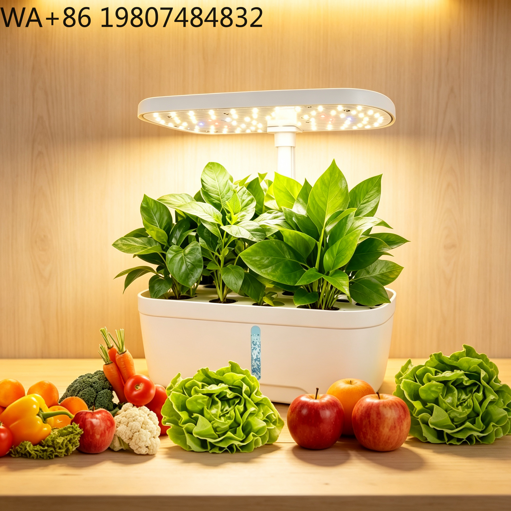 Комплект для гидропоники на 12 – обзор и цена Hydroponic Grow Pod
