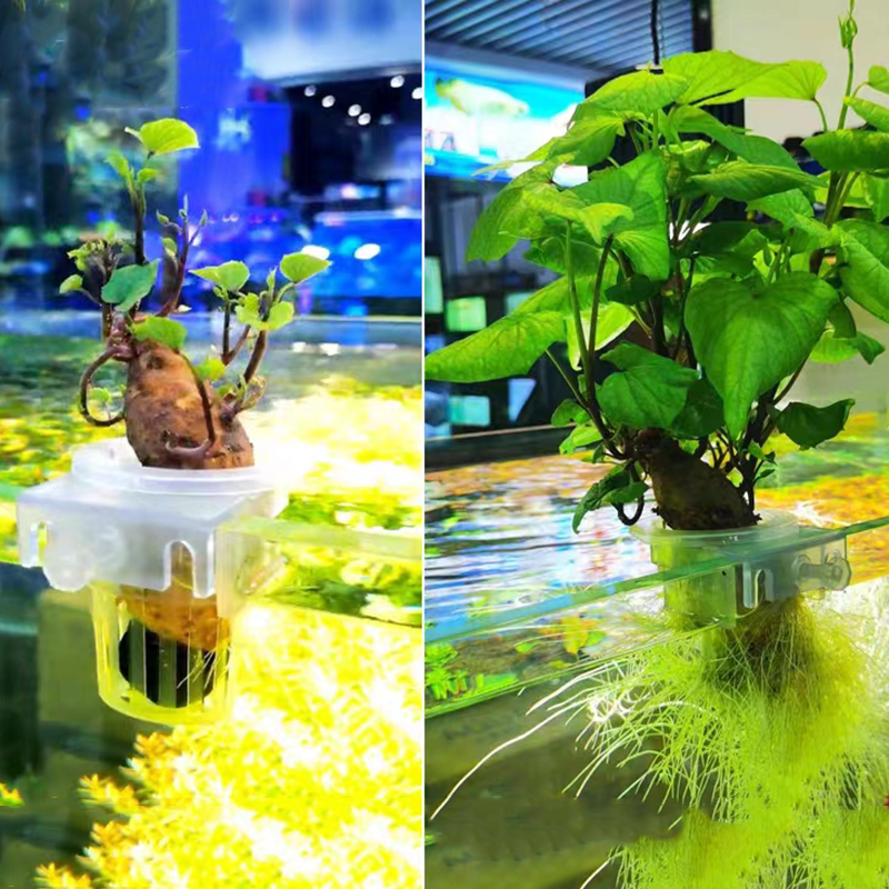 Корзина для посадки аквариума, – обзор и цена Hydroponic Grow Pod